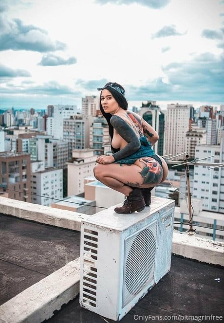 pitmagrinfree perfect actress picture