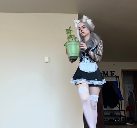 Awkspew roo2 beautiful star img