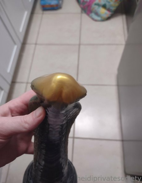 heidiprivatesociety model hd images