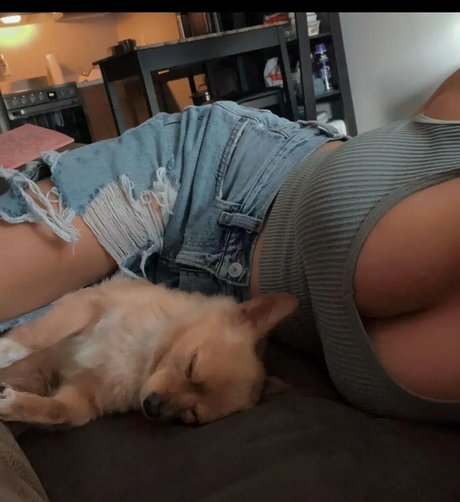 Bambixoxo22 actress archive