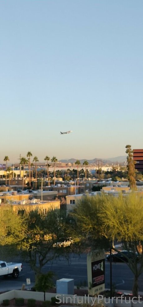 sinfullypurrfuct art actress img