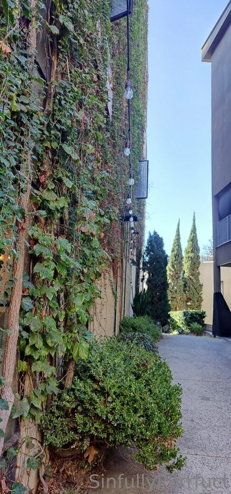 sinfullypurrfuct nice actress pics