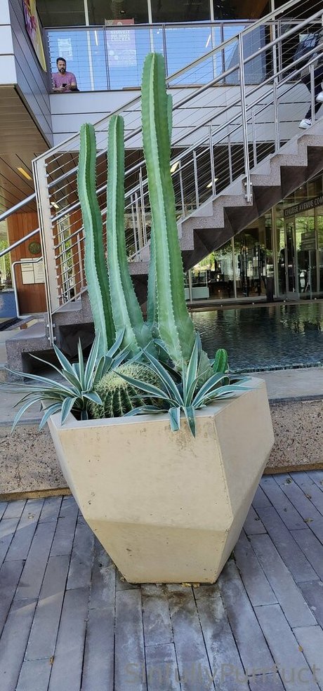 sinfullypurrfuct art pornstar pics