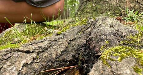 solecirilla pretty model galleries