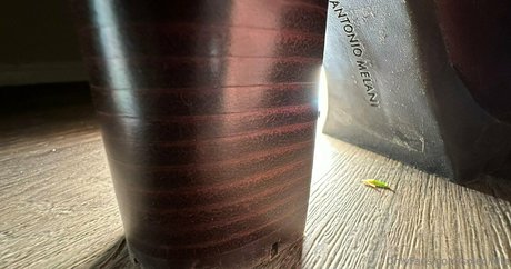 solecirilla model erotic image