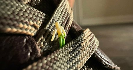 solecirilla naked star images