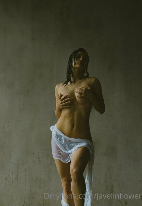 javelinflower star art picture