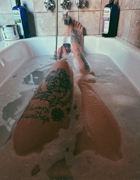 Stephilee star gallery