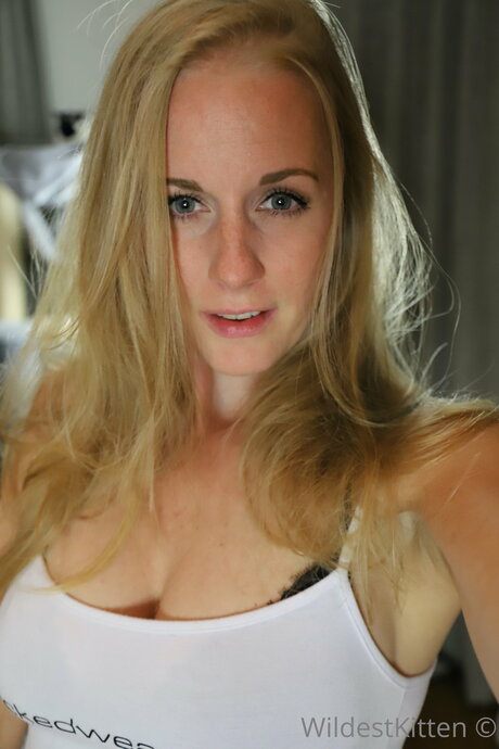 WildestKitten star top image