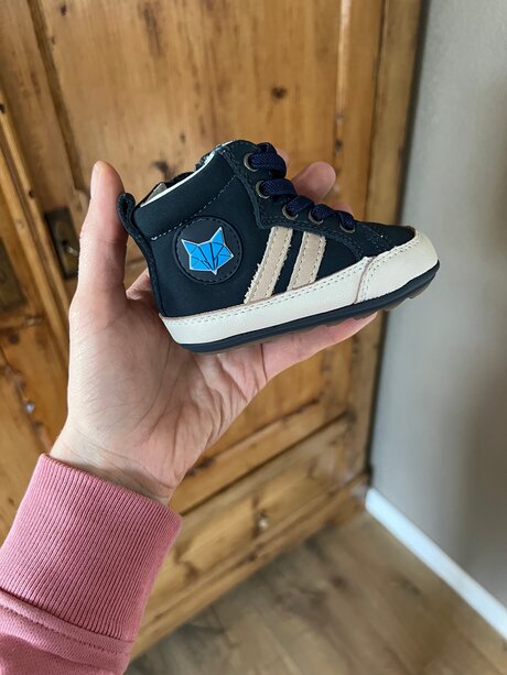 WildestKitten pornstar free image