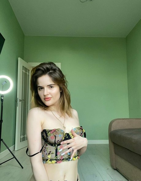 karin toy model art gallery