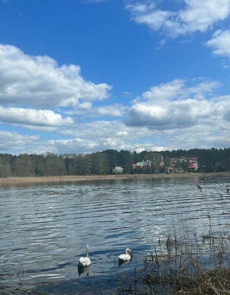 love techno drink star perfect gallery