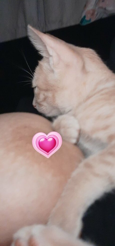 Jadeackerman porn star archive