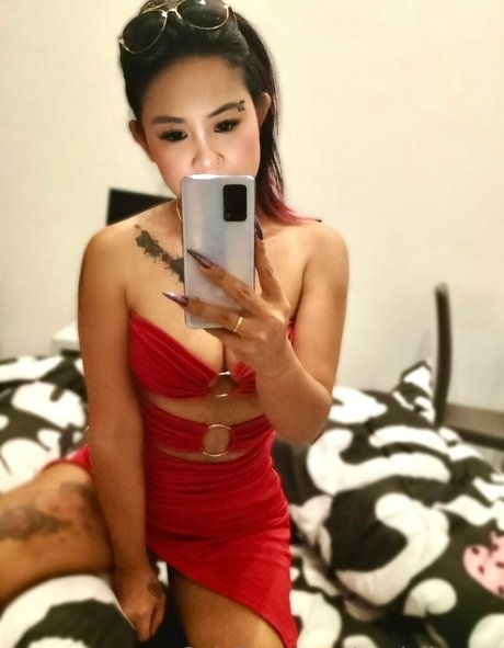 terriallyours best star photo