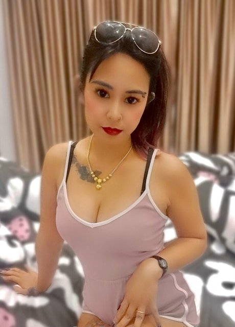 terriallyours pornstar top galleries