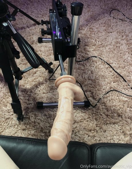 avaexotic vip top star pictures