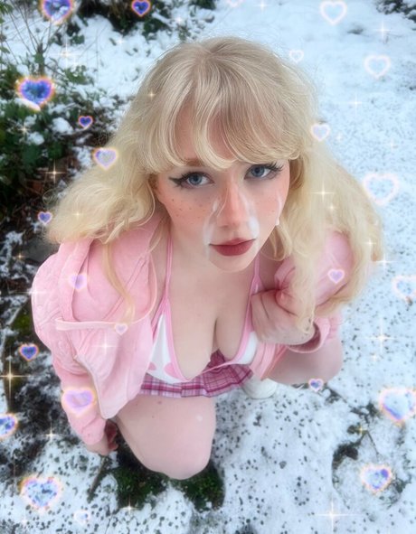 purrchaco star gallery