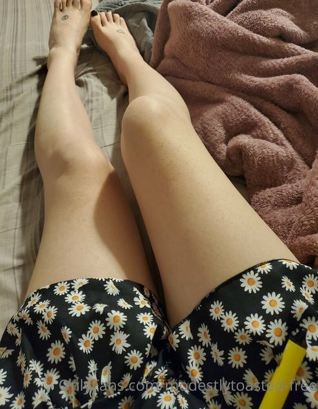 modestlytoasted free star hd pic