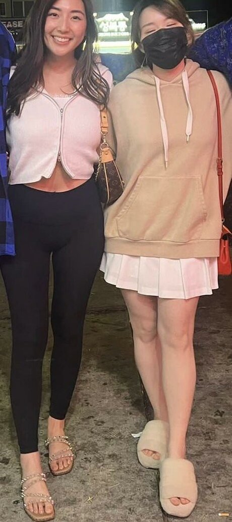 Plushys star perfect img