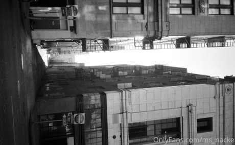 ms nacke beautiful model images