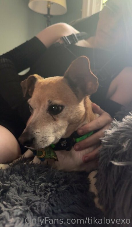 tikalovexo star best galleries