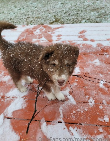 marymoonkat star free archive