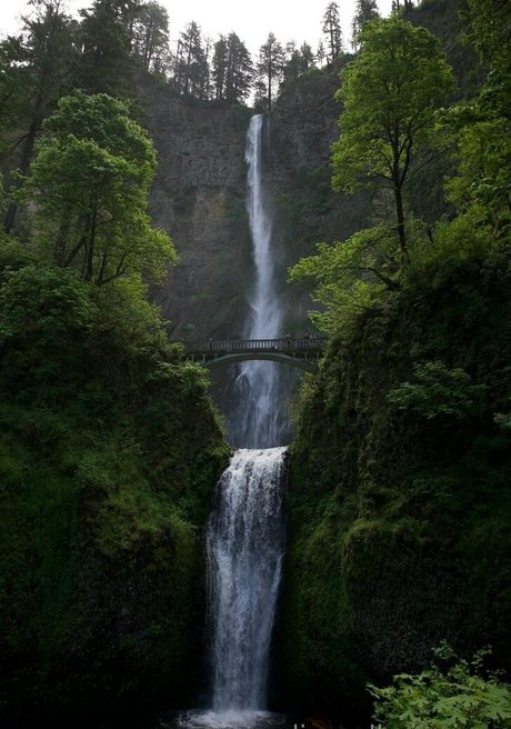 alignedbyjuniper pornstar adult photo