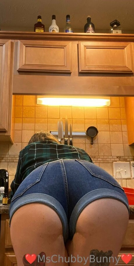 mschubbybunny high quality star image