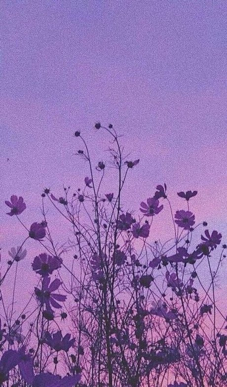 Honeybunnycos model hot picture