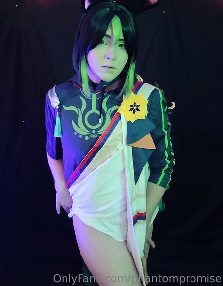 phantompromise nice model gallery