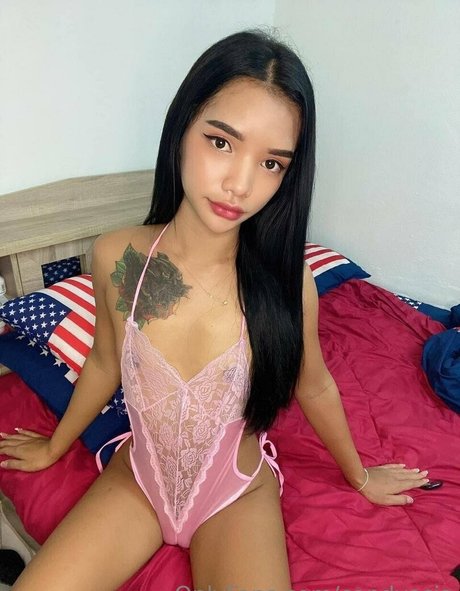 candyasia best pornstar archive