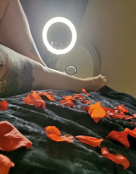 bbwjeanie star nice img