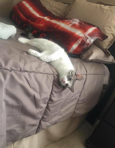 freesoda grl star sex galleries