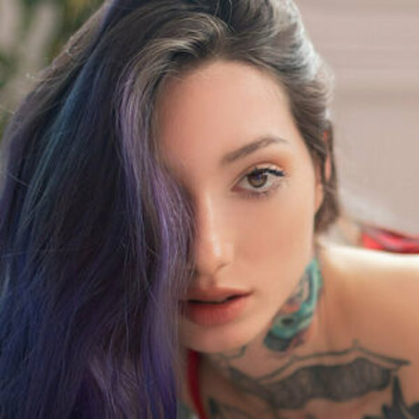 lilyxfree high quality star gallery