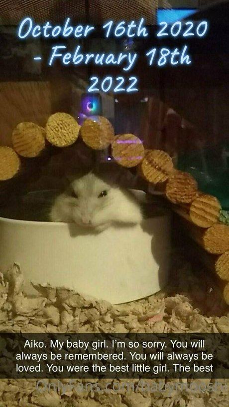 babymooshi pornstar adult gallery