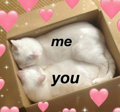 summersmithy pornographic model pics