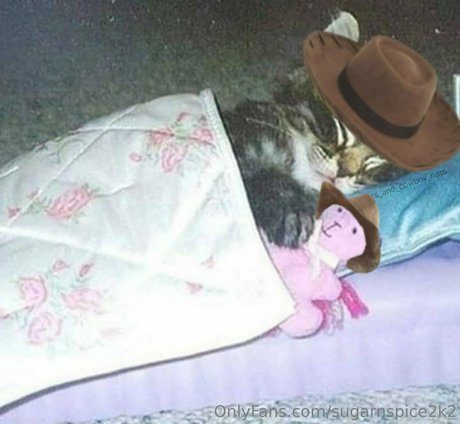 smoll n sweet 2k2 top pornstar pic