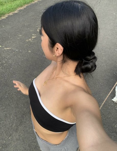 vashwty star art image