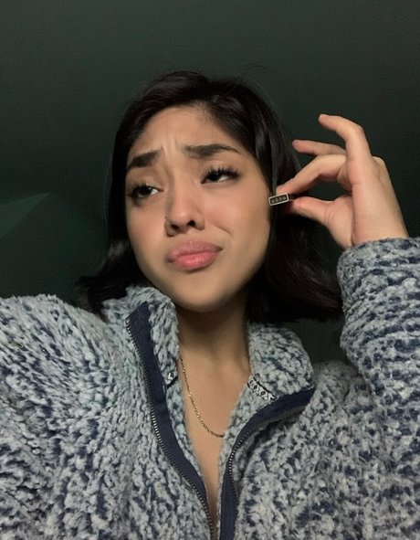 vashwty best model archive