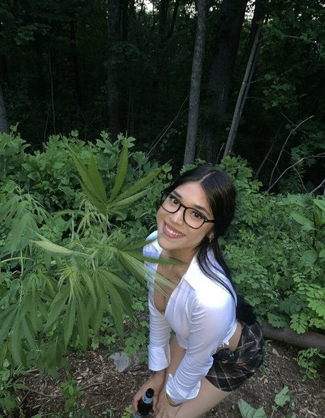 vashwty star adult picture