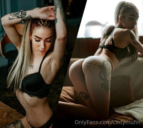 cintymufin perfect star archive