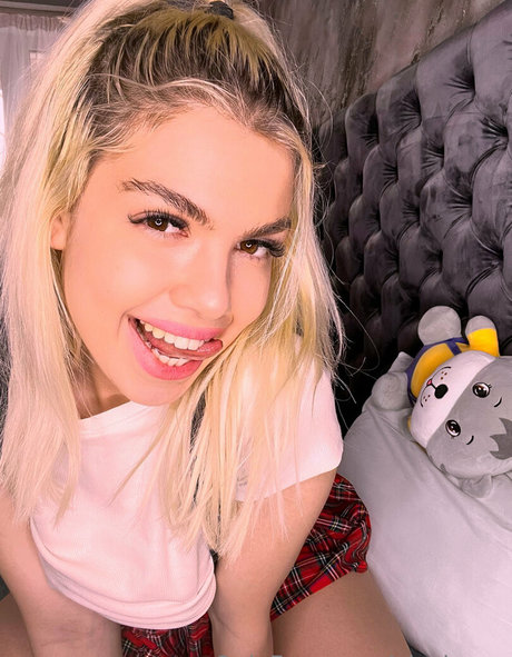 elsakroes model hd archive