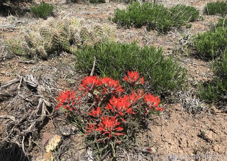 naomiwildman3 best pornstar images