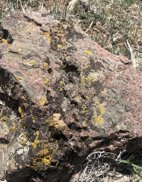 naomiwildman3 model nudes images