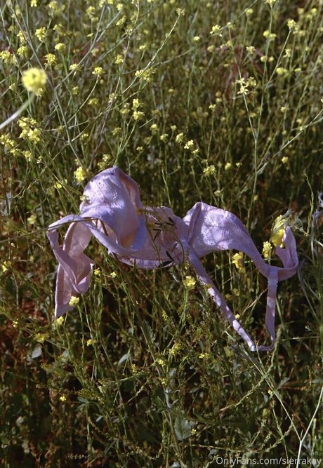 sierrakay nudes model photo