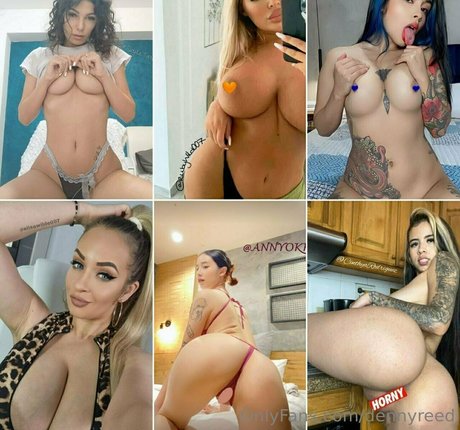 dennyreed star xxx image