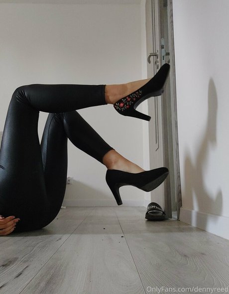 dennyreed model porn pic