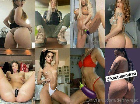 dennyreed pornographic actress images