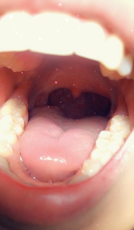 arcticgoddess star hd gallery