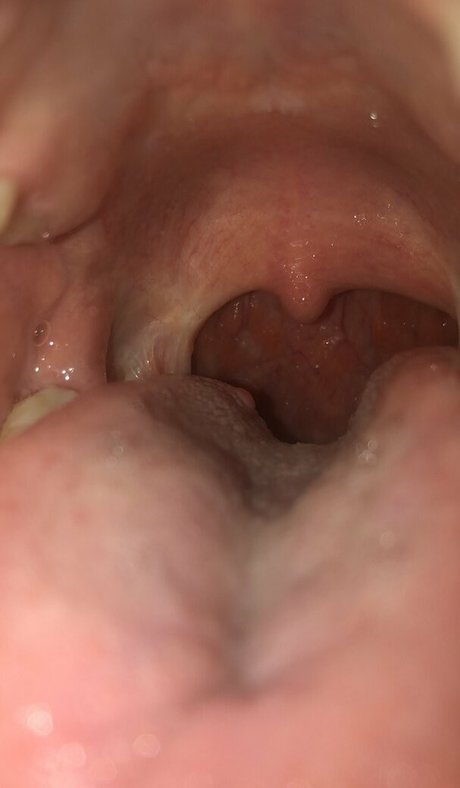 arcticgoddess pretty pornstar picture